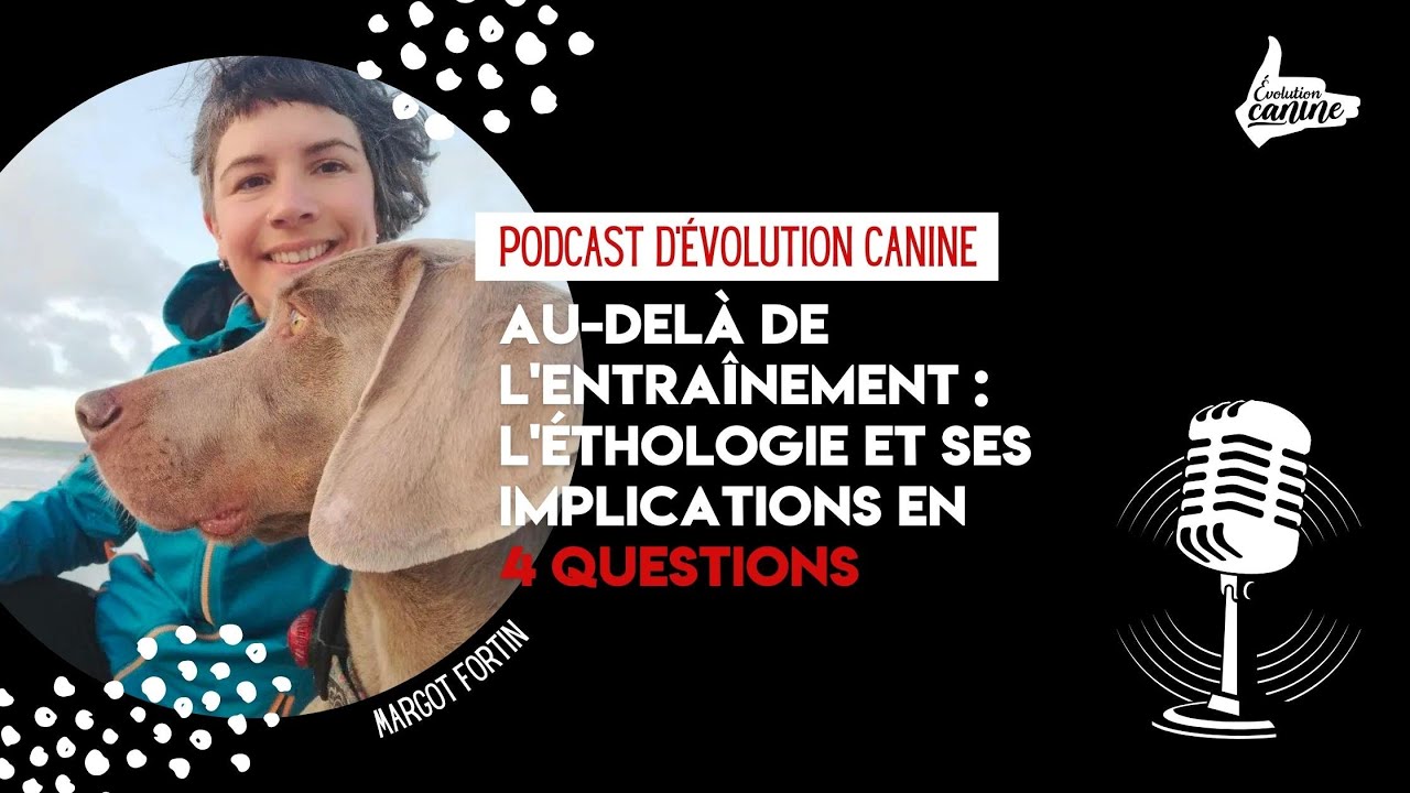 Au-delà de l'entraînement : l'éthologie et ses implications en 4 questions