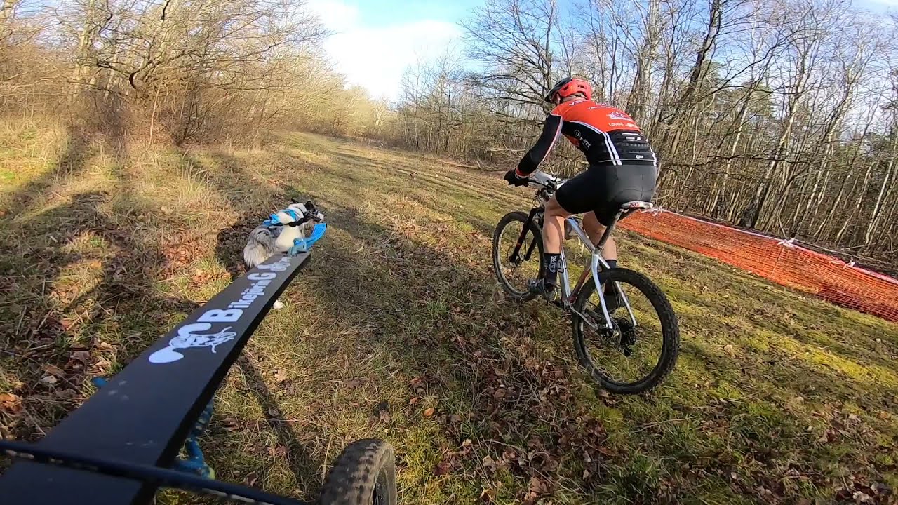 Canicross - Grand prix de France à SCC Senlis 2022 - Canivtt
