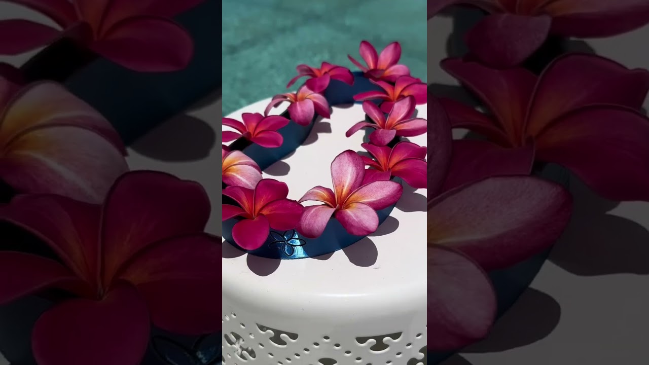 Plumeria Lei Vase