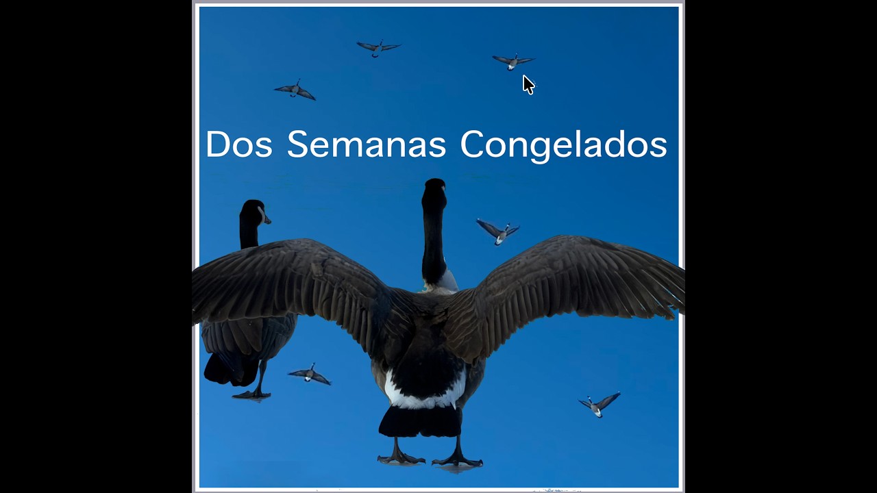 Dos Semanas Congelados