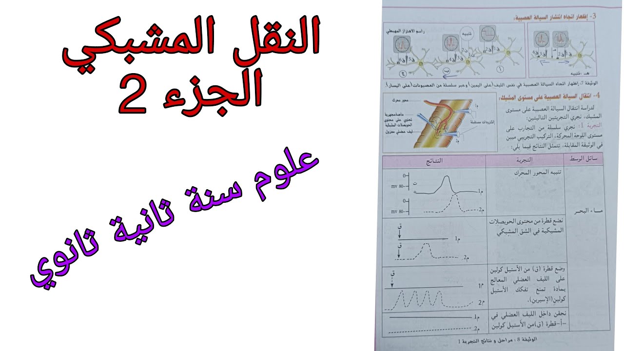 النقل المشبكي علوم طبيعة والحياة للسنة الثانية ثانوي ج2