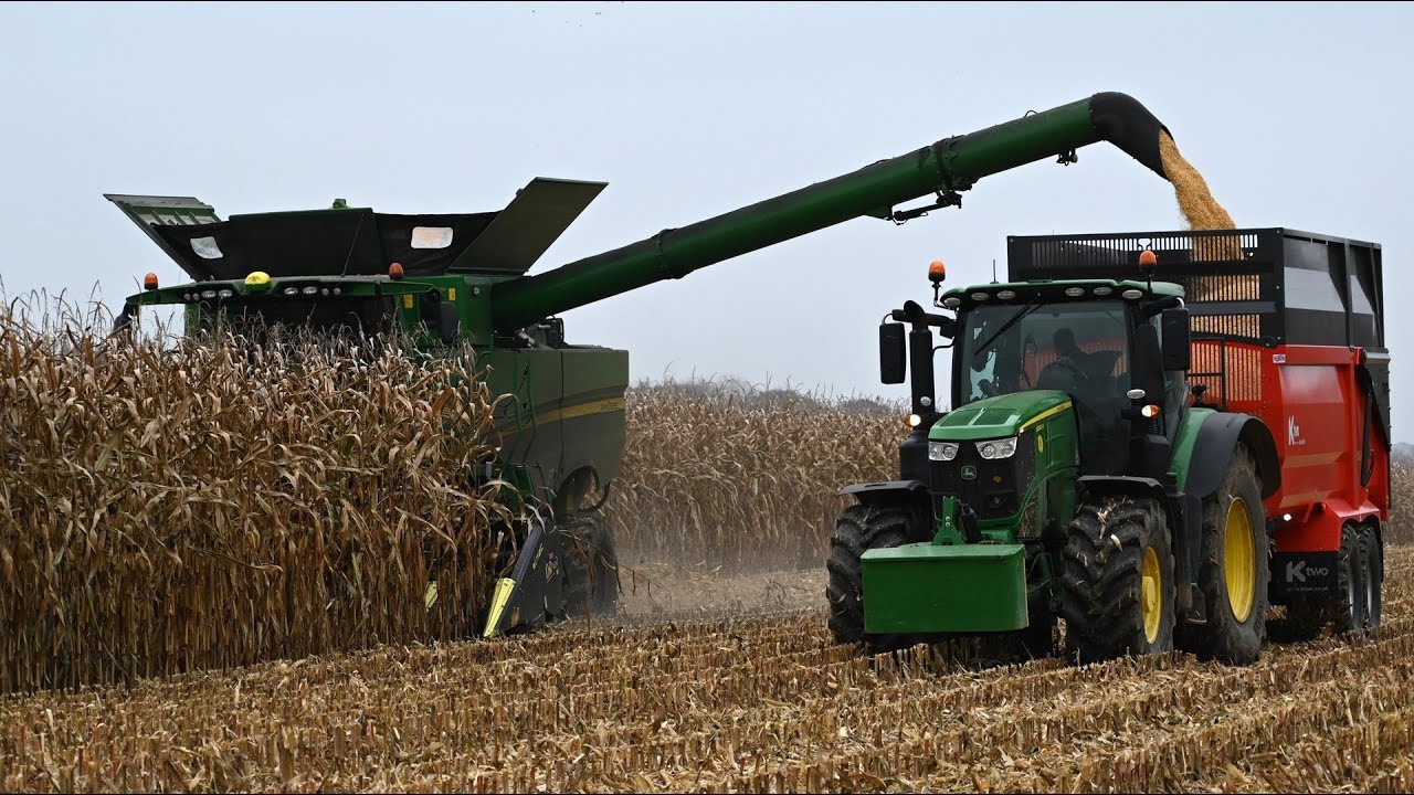 Maize Harvest 2024 - Combining Maize with John Deere S790i and Cultivating with John Deere 8370R