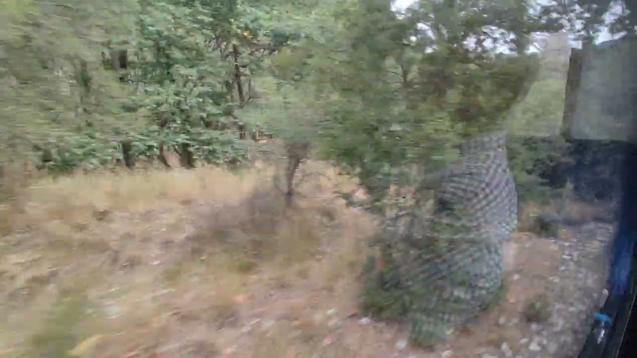 Odontotos rack railway  Kalavrita- Diakopto #Diakopto #greece #hellenictrain