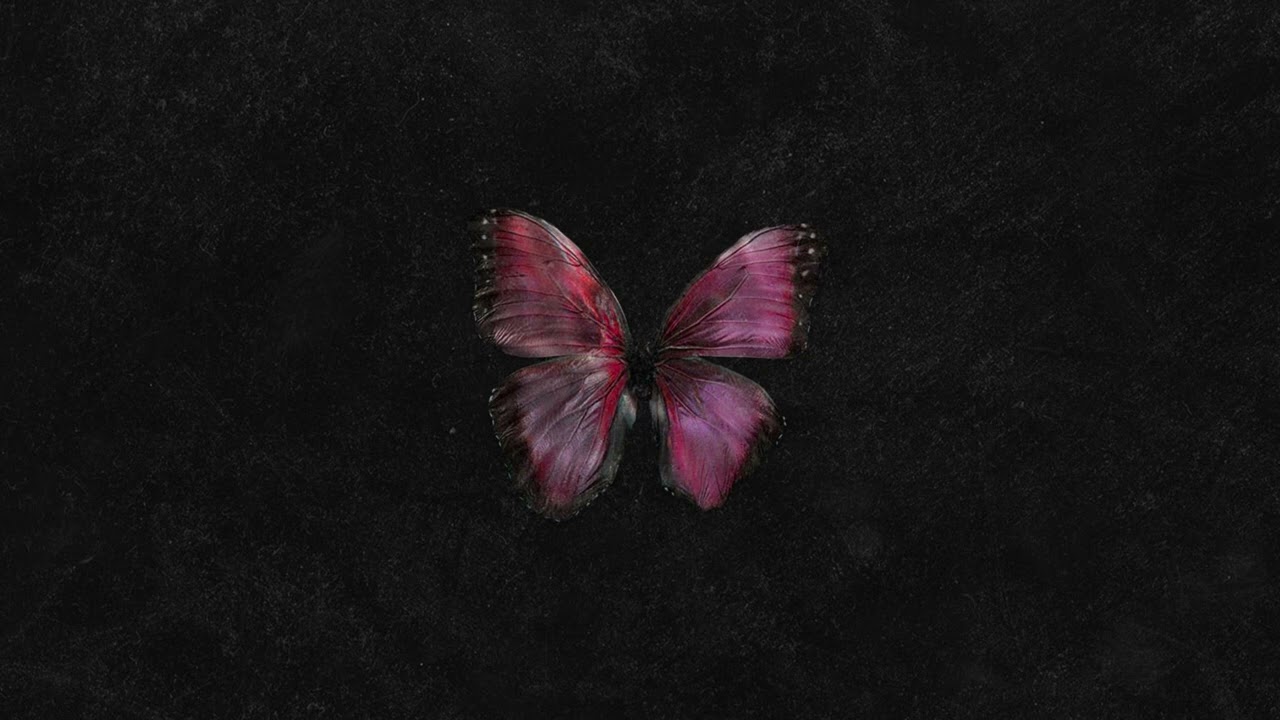 mlodyarro - reminiscencja