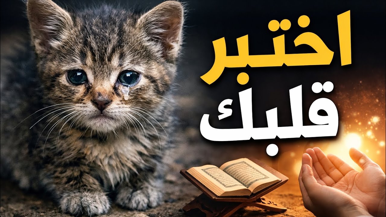 أختبر قلبك اليوم.....هل أنت فعلآ رحيم ؟!