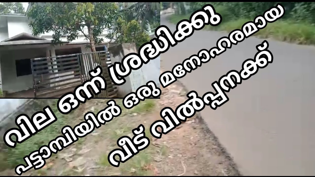 വില ഒന്ന് ശ്രദ്ധിക്കു പട്ടാമ്പിയിൽ മനോഹരമായ ഒരു വീട് വിൽപ്പനക്ക് a house &plot redy for sale