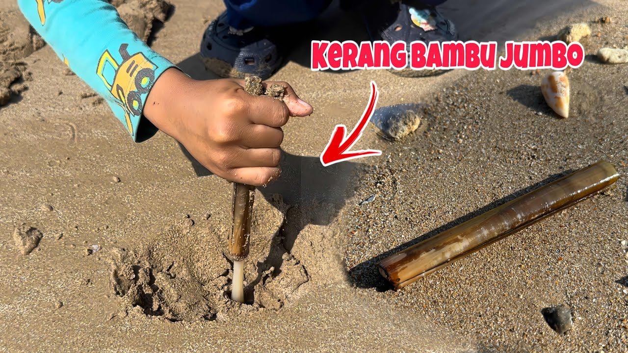Berburu Sampai Ujung Tanjung Bayur‼️Nemu lubang kerang BAMBU 😍