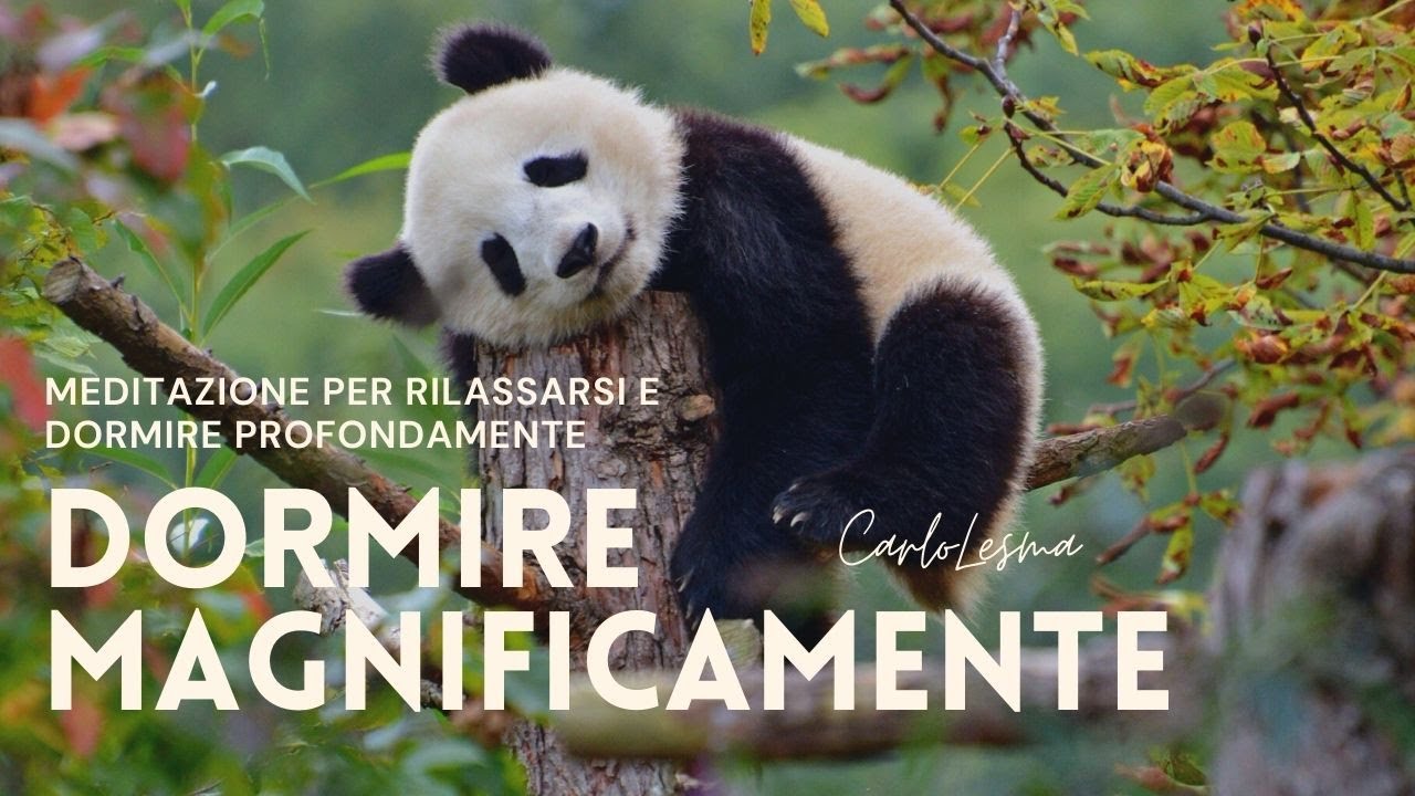 Dormire Magnificamente - Meditazione per dormire immediatamente