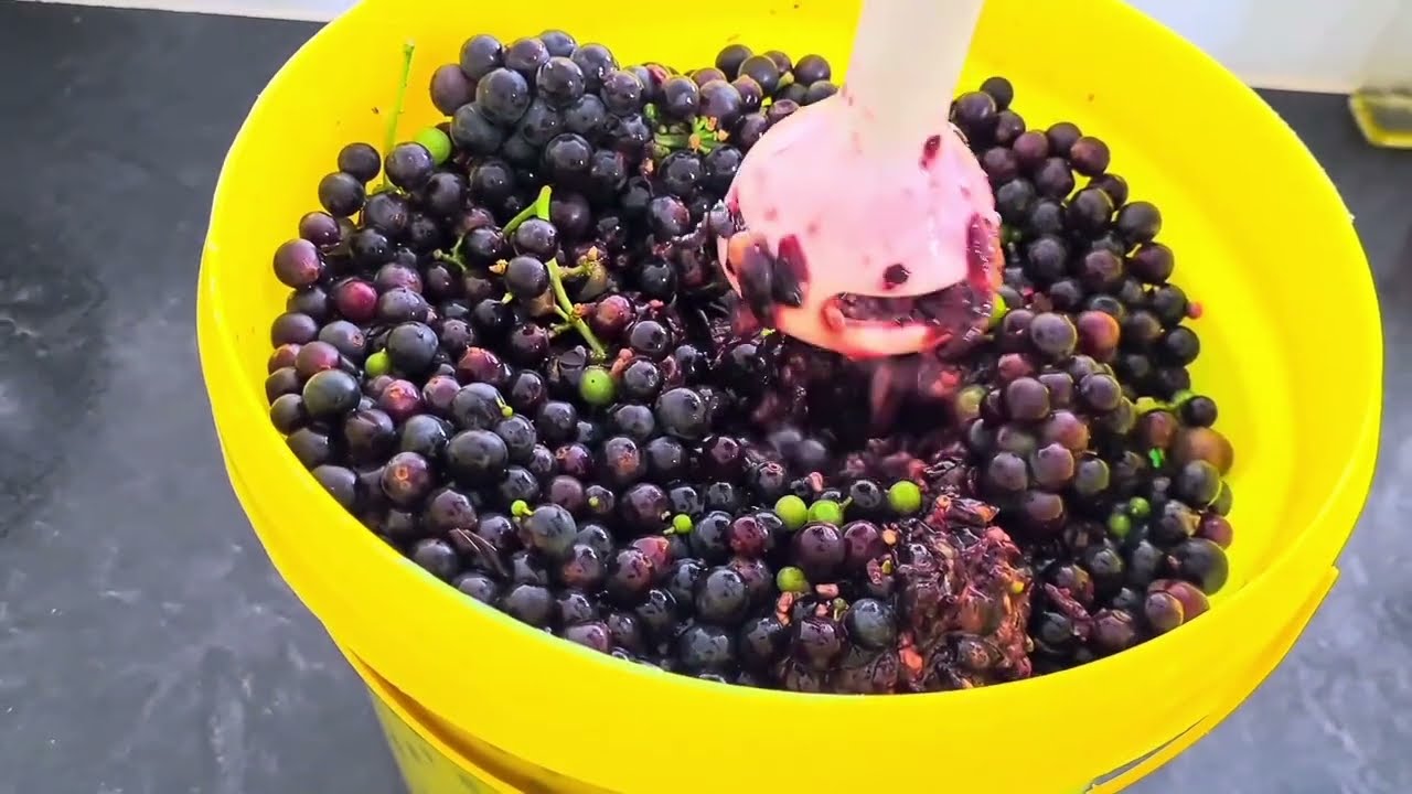Easiest Way To Make Grapes Vinegar
