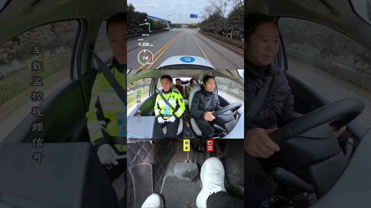 一路坎坷，艰难前行，不放弃，努力的大姐顺利拿下科目三！#科目三#考驾照
