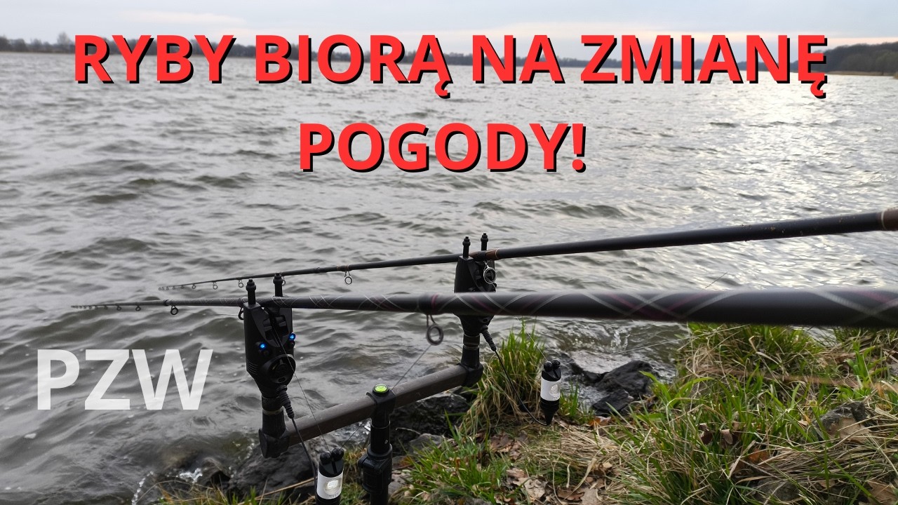 Pierwsze KARPIE w nowym sezonie! | Zbiornik Łąka PZW Katowice