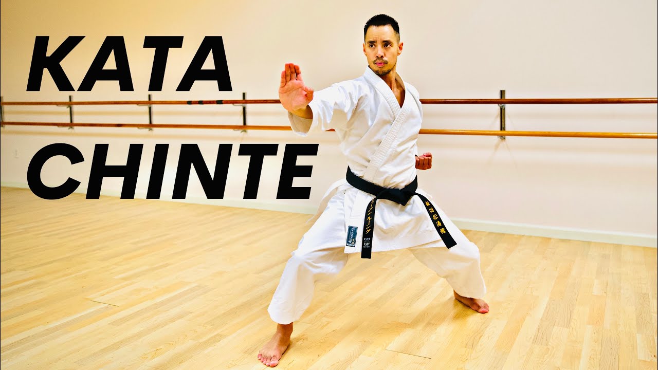 Полный учебник по ката чинте