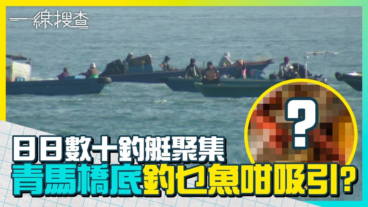 青馬大橋底每日數十釣艇聚集原來犯法？究竟有乜魚釣？　貨船船長、深井居民為何叫苦？　#一線搜查