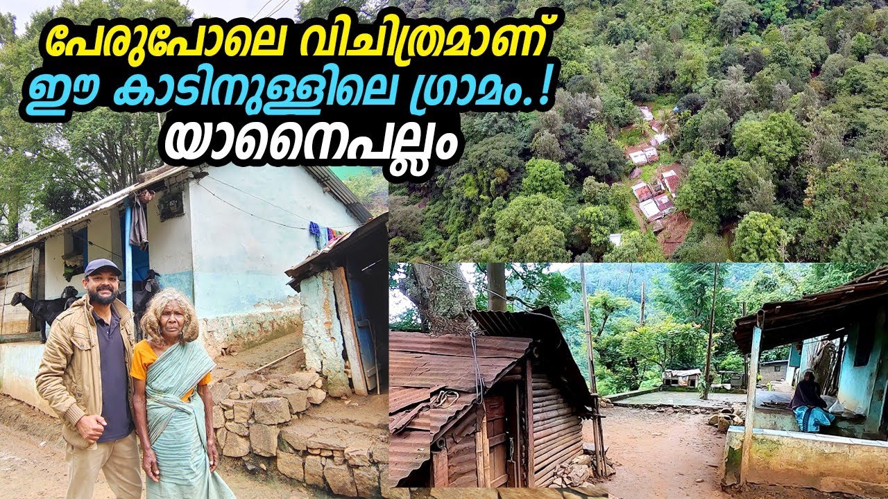 ആനയും കടുവയും വസിക്കുന്ന കൊടും കാടിനുള്ളിലെ ഗ്രാമം. Entry Restricted 🚫 | Village in the forest Ep#01