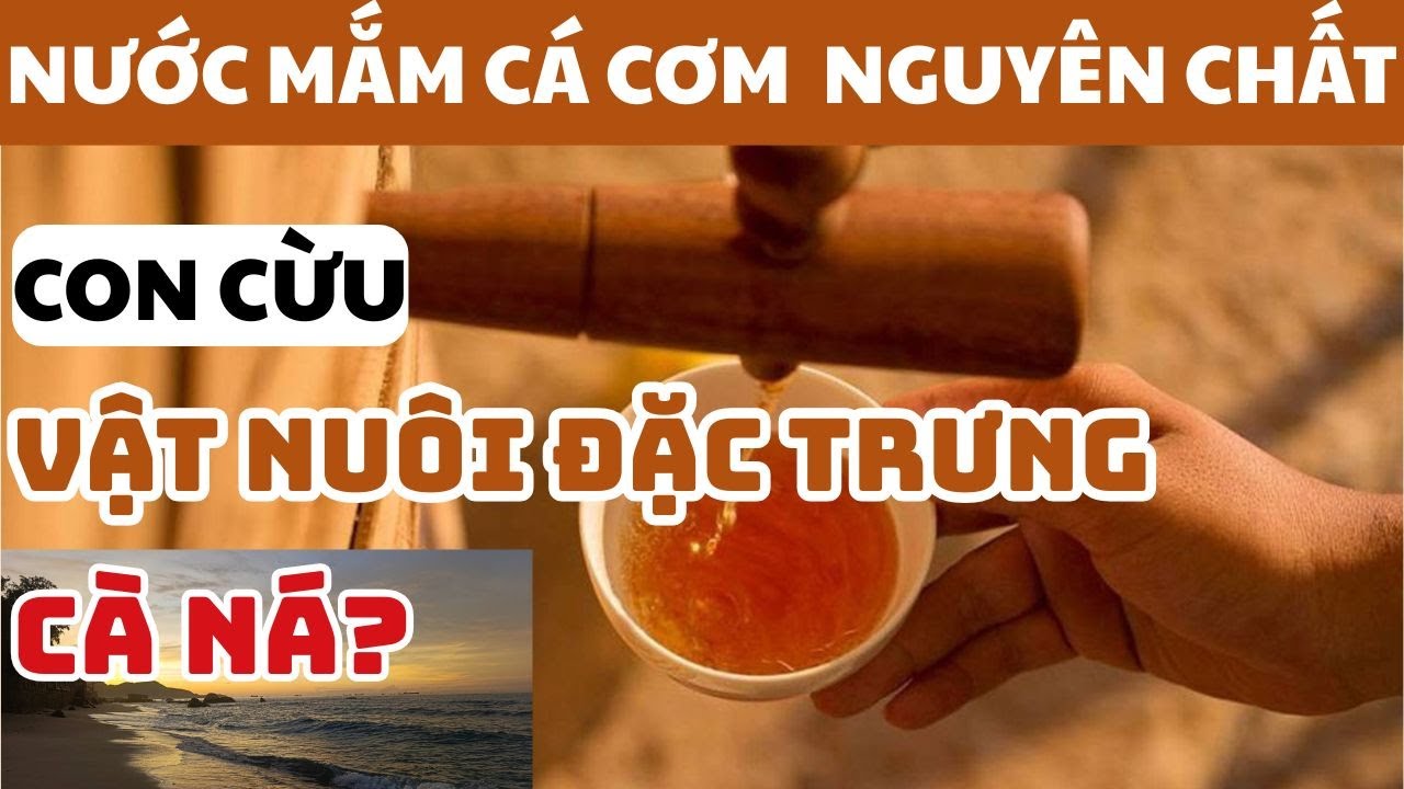 Khám Phá Loài vật nuôi đặc trưng của vùng đất khô hạn nhất nước