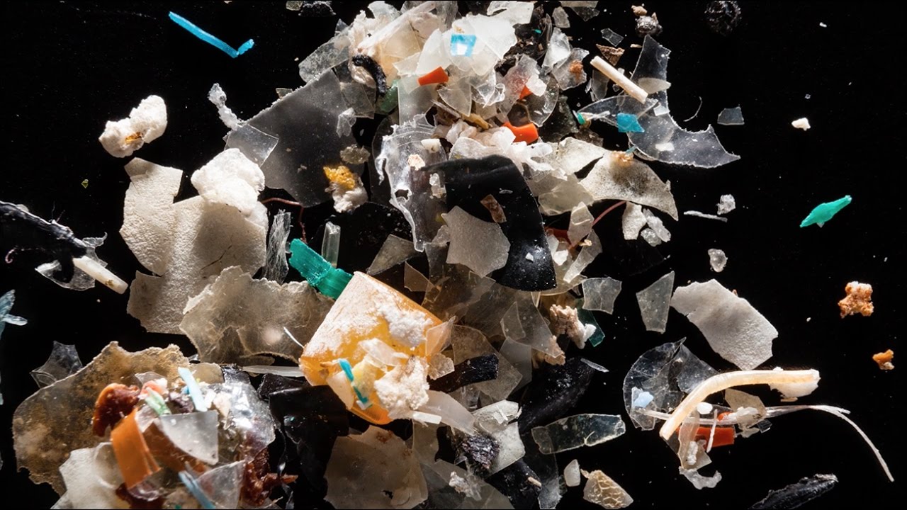 Healthy Oceans: Preventing Plastic Pollution | California Academy of Sciences