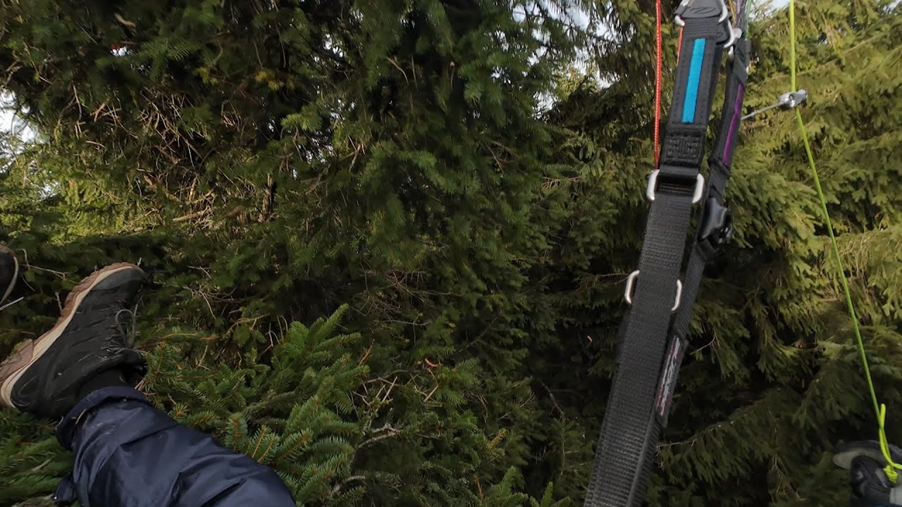 Branch Inspection Crash Course
