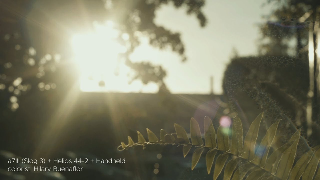 Helios 44-2 + Sony a7iii Cinematic Video Test (Manila Philippines)