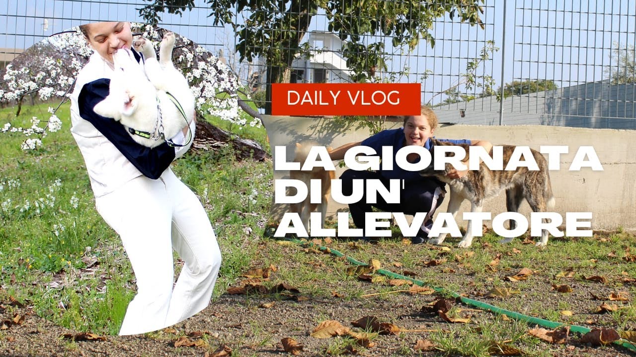 LA GIORNATA DI UN ALLEVATORE DI CANI - DAILY VLOG