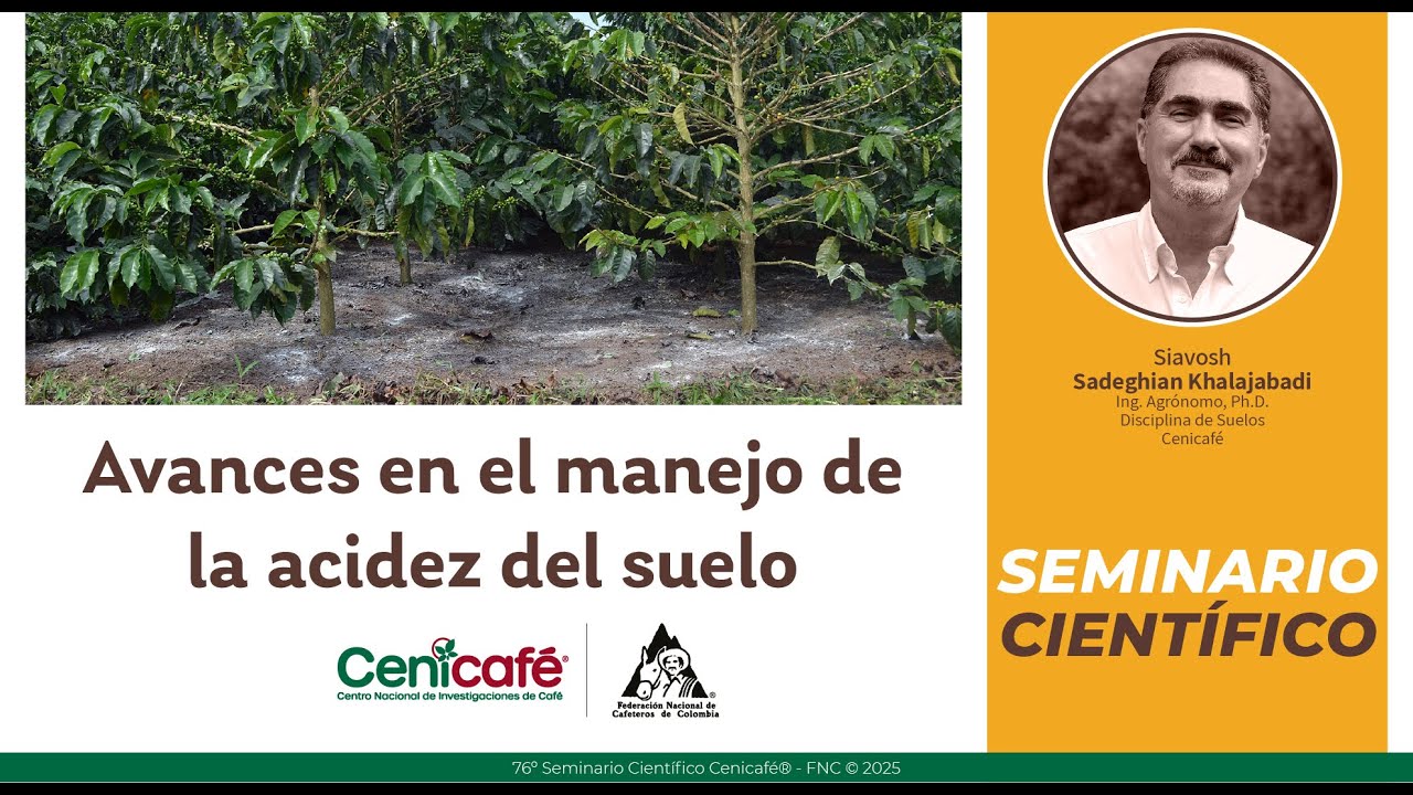 Avances en el manejo de la acidez del suelo