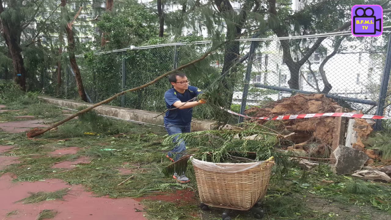 福德電視台特備節目 - 山竹吹襲後之風後陽光