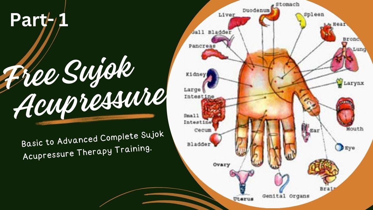 Free Sujok Therapy Zero to Advance Part 1 By Dr. Amit Jain |Acupuncture & Acupressure Consultant