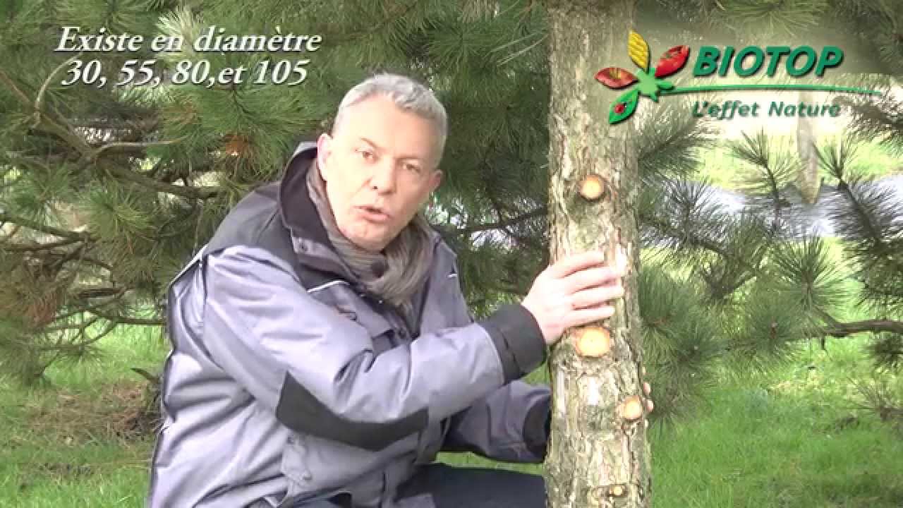 Montage de l'&eacute;copi&egrave;ge BIOTOP