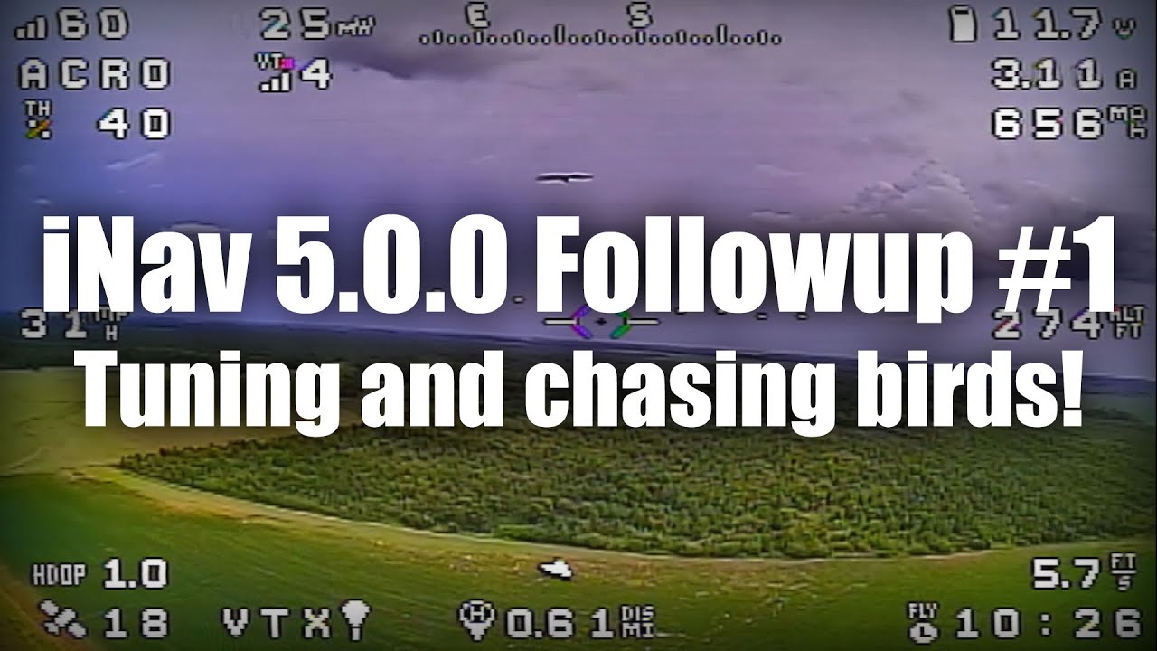 iNav 5 Followup #1, More tuning and chasing birds! lol