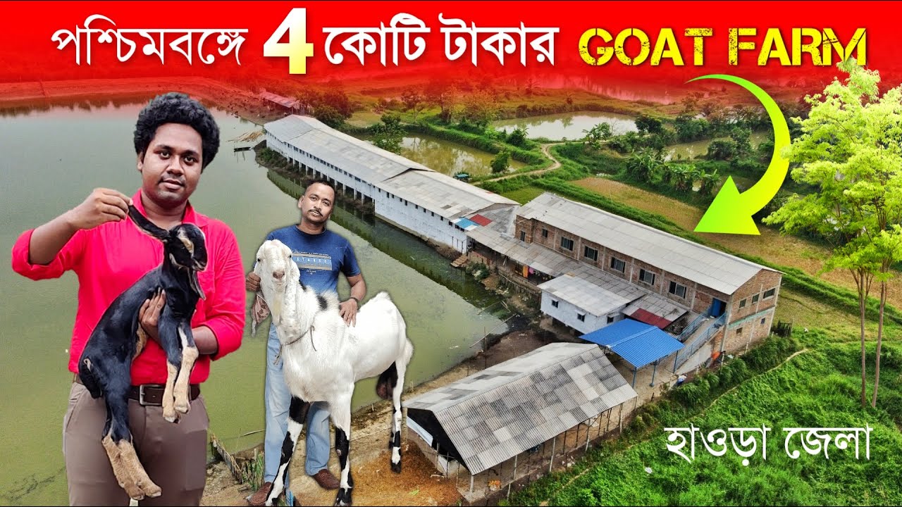 পশ্চিমবঙ্গে 4 কোটি টাকার GOAT FARM | 4 Crore Goat Farming in West Bengal | Commercial Hoay Farm