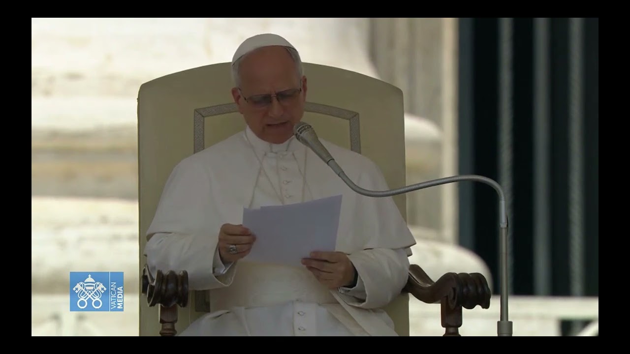 Papst Leo XIV. bei der Generalaudienz vom 11. Juni zum Amoklauf in Graz
