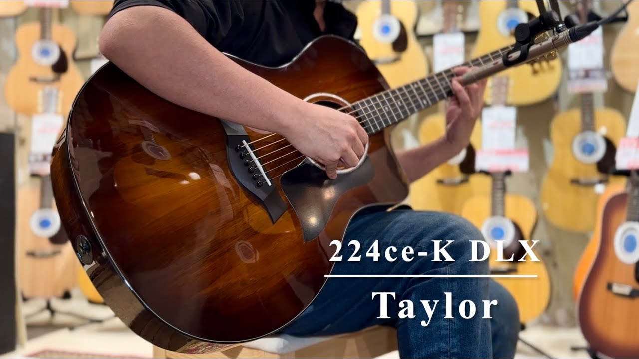 Taylor 224ce-K DLX 【アーティストラウンジ選定品！】