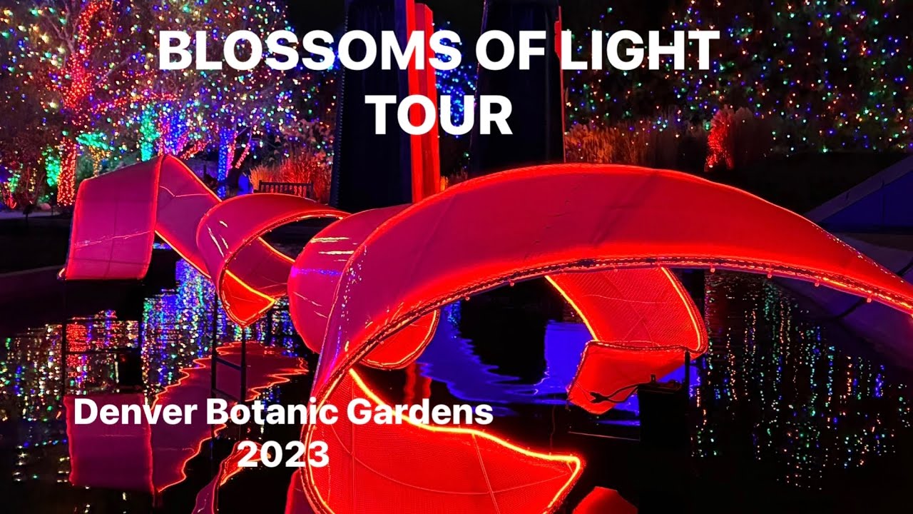 Christmas Lights |Botanic Gardens |Denver|Colorado|4K| 2023| #christmaslights #colorado #denver #usa