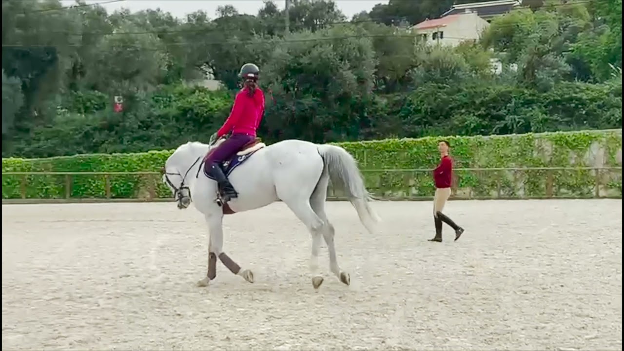 03 - My Road To Tokyo - Luciana Diniz -  With João Torrão, olympic riders sharing training knowledge
