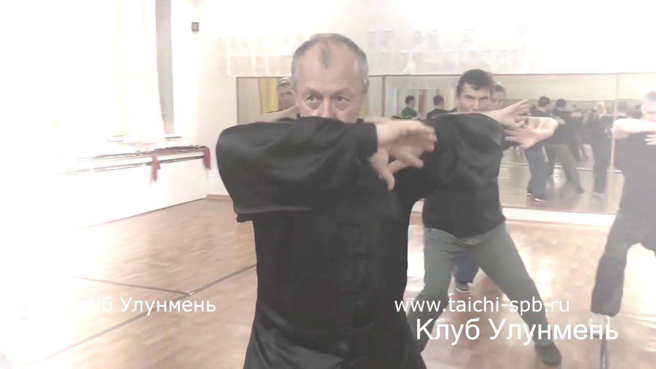 Тайцзицюань не для всех Видео-Книга Главы 5. 4. 6.  Часть 2.  Ссылки на др.главы в описании