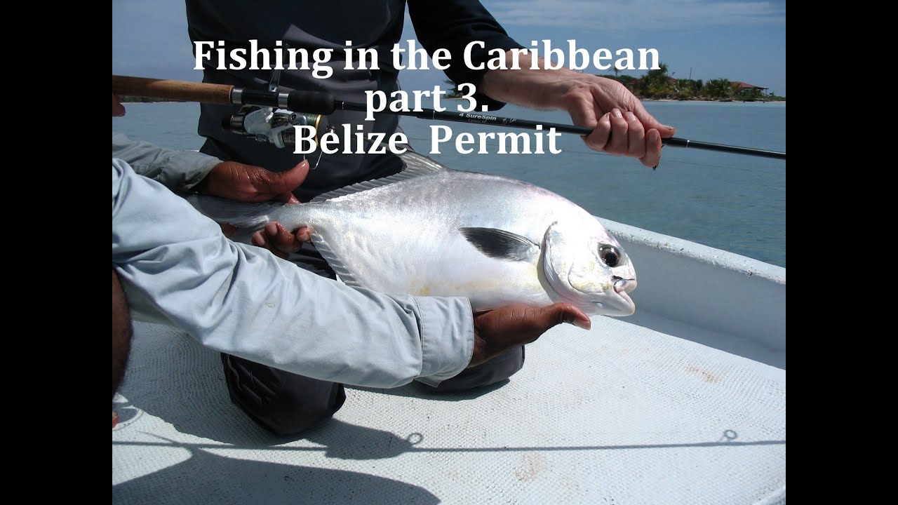 Fishing in the Caribbean pt 3  Belize Permit