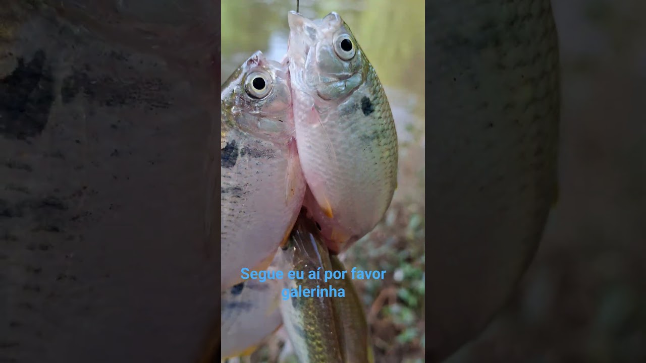 Deus abençoe nossa quarta-feira com muita paz saúde e amor 