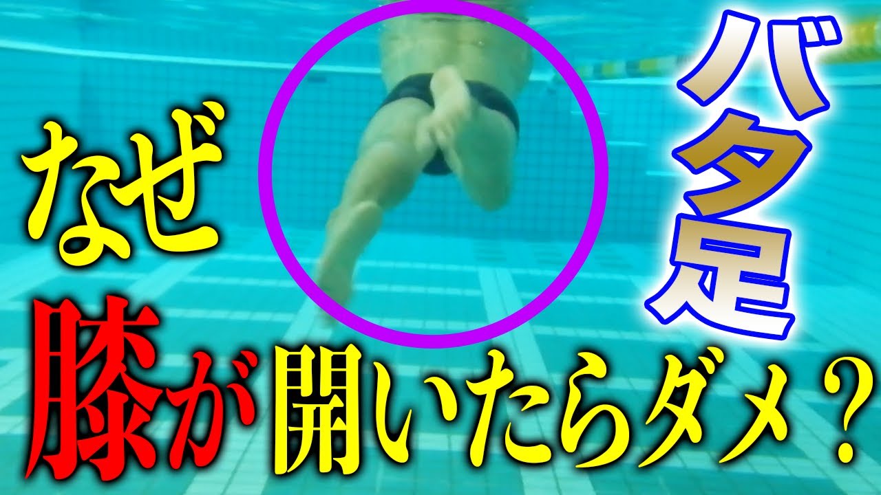 【板キック】意外と説明できない!？バタ足で膝が開くとダメな理由を徹底解説します。 #151