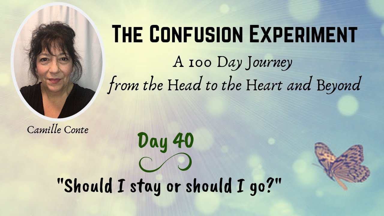 Day 40: The Confusion Experiment - 