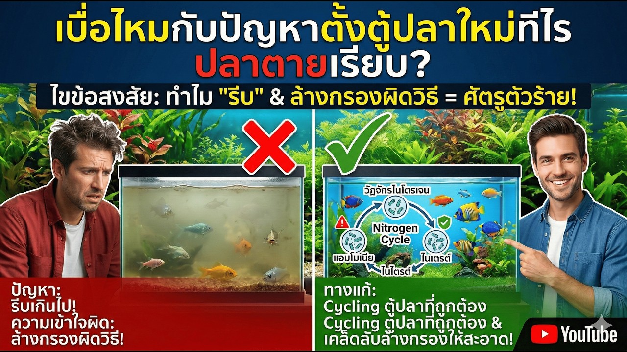 หัวใจตู้ปลา(วัฎจักรไนโตรเจน) Ep.4 