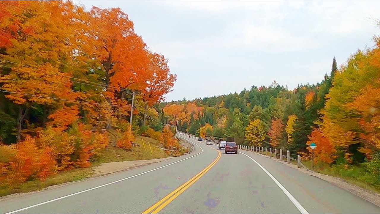 AUTUMN COLORS SCENIC Drive through Algonquin Park Fall Colors