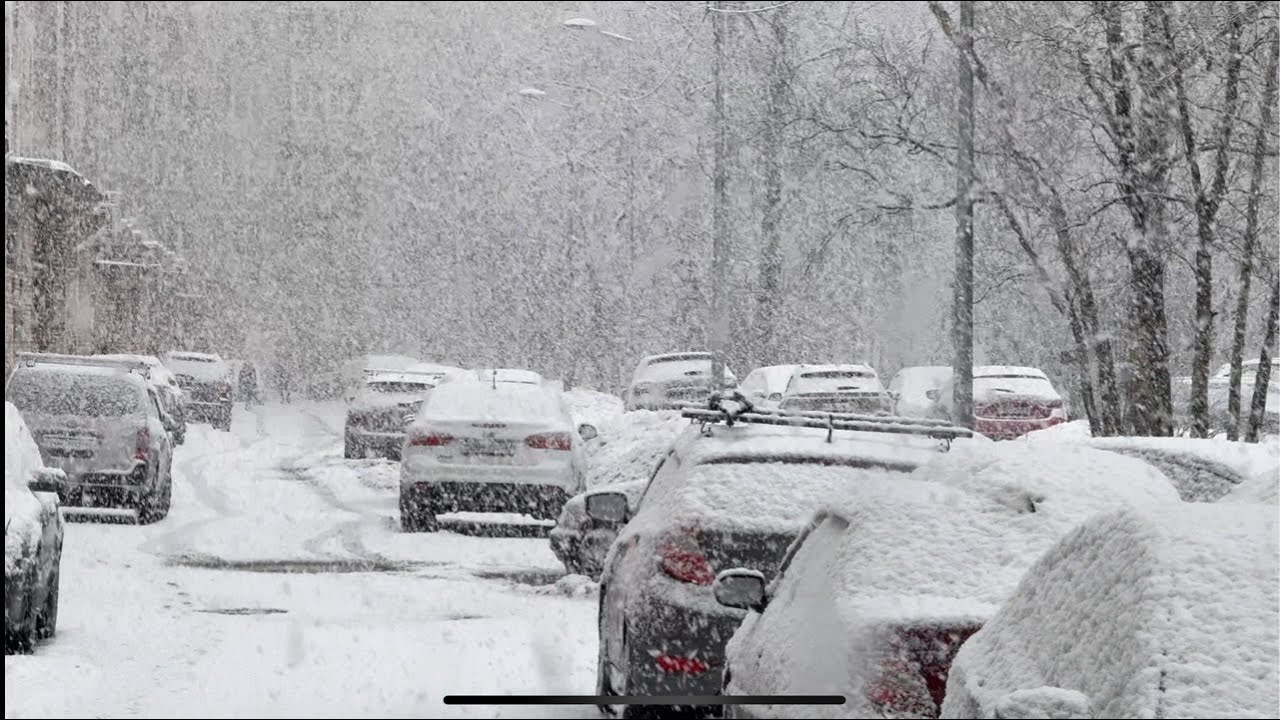 Снегопад в Питере