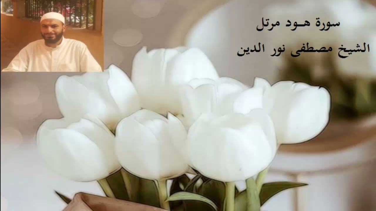 11- هود