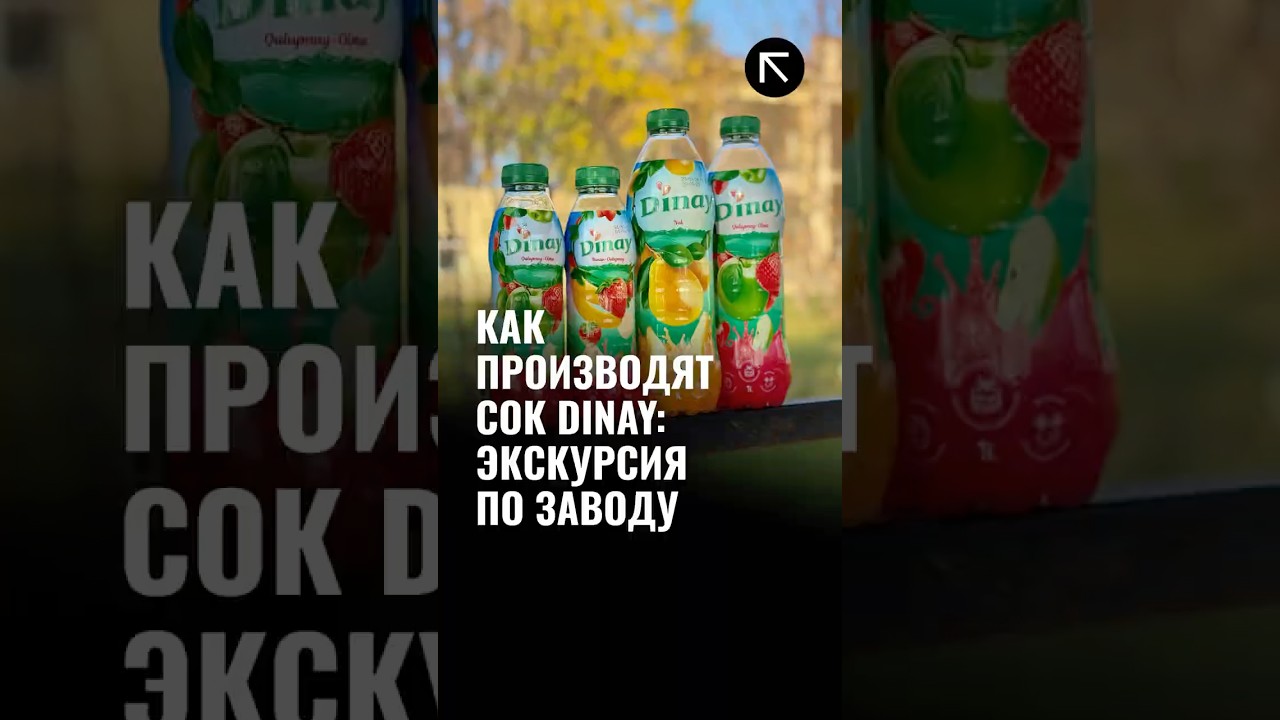 Производство Dinay: Экскурсия по заводу