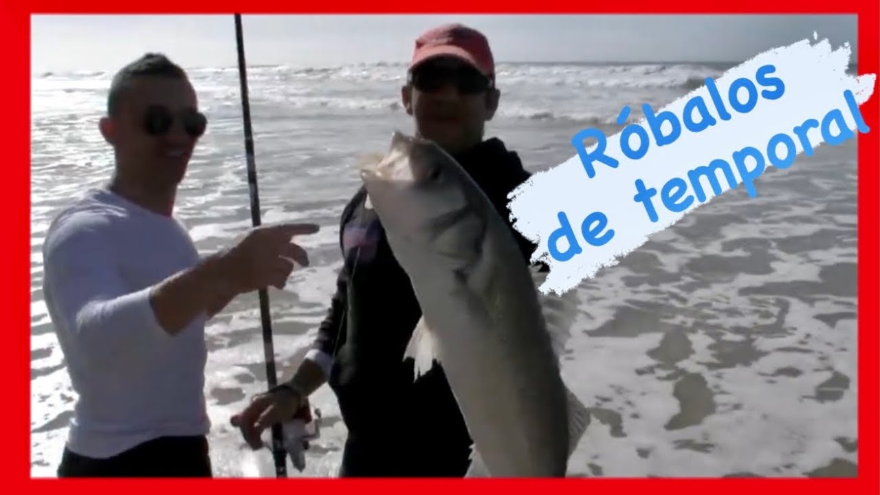 Róbalos de Temporal