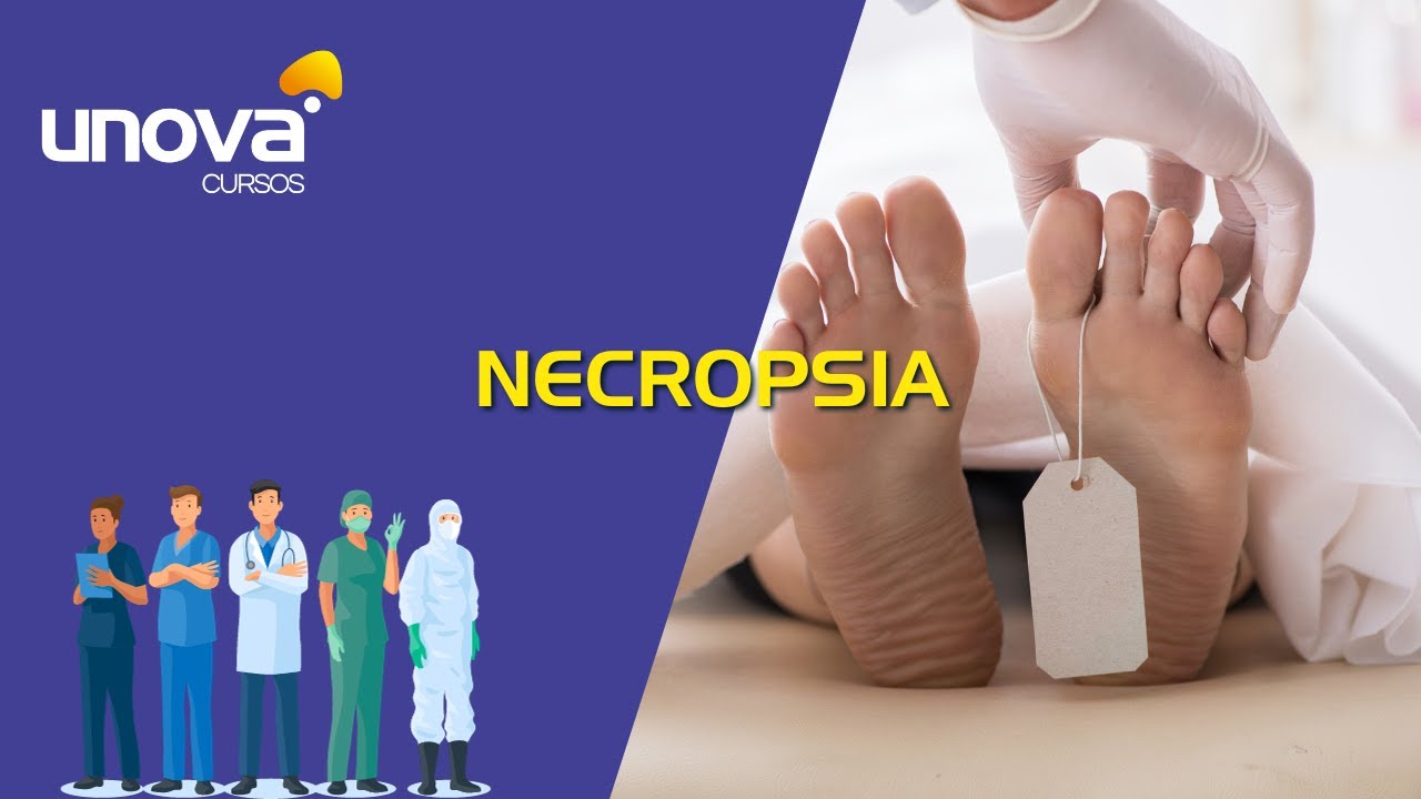 Curso de Necropsia Gratuito e Online da Unova
