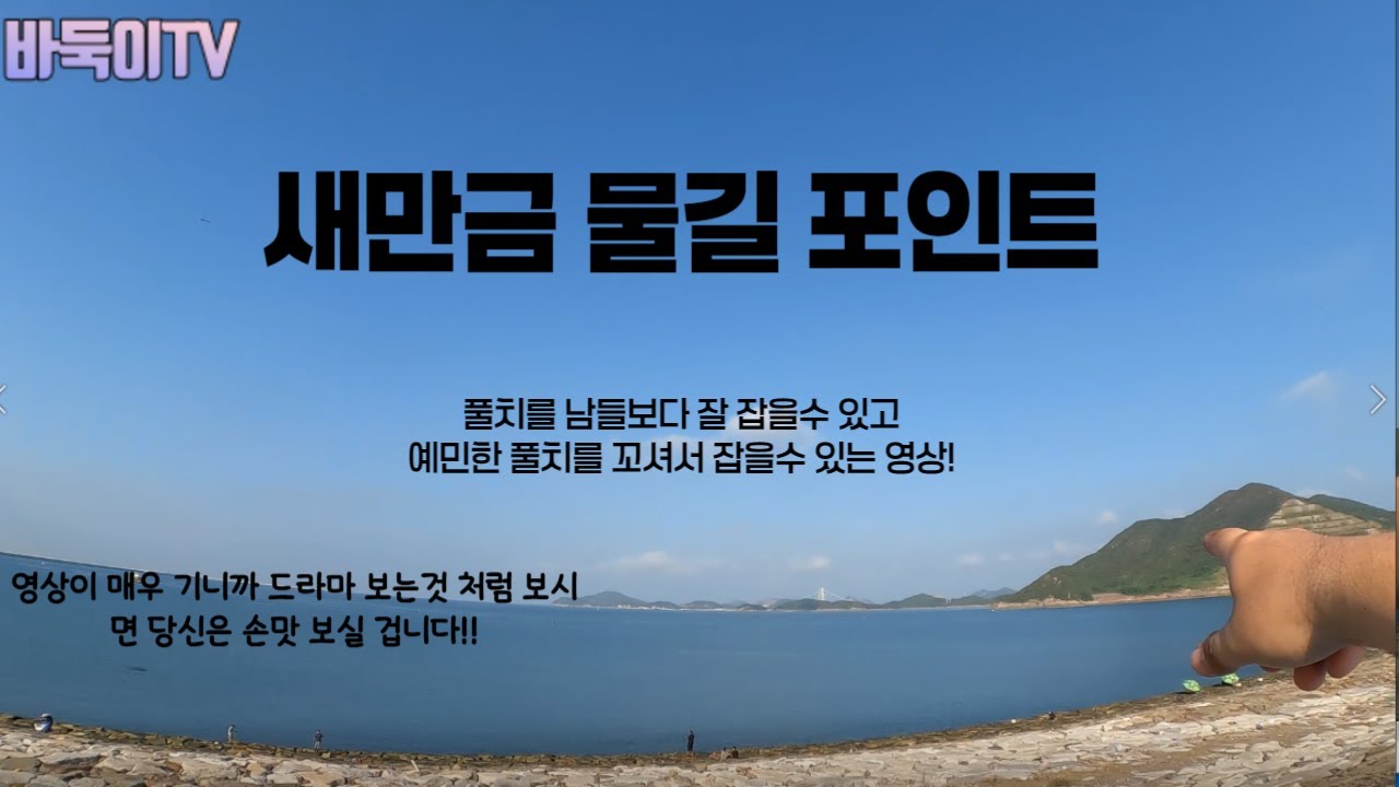 새만금 고수온 예민한 풀치 액션법 알고 잡자!