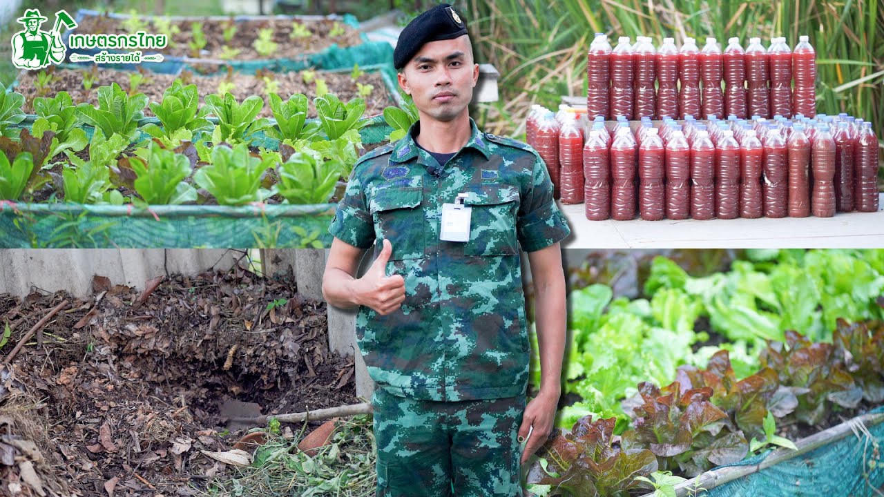 พาชมสวนผักดินดี ปลูกผักหลังบ้านพักทหาร สร้างรายได้หลังเลิกงาน l เกษตรกรไทย สร้างรายได้ Ep134
