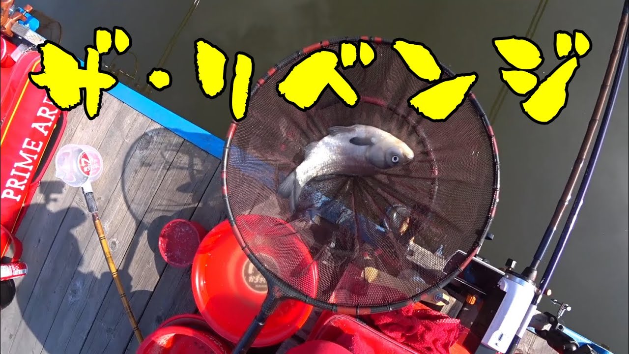 『野田幸手園 』　たまたま入った場所にはヘラブナはおりませんでした　笑