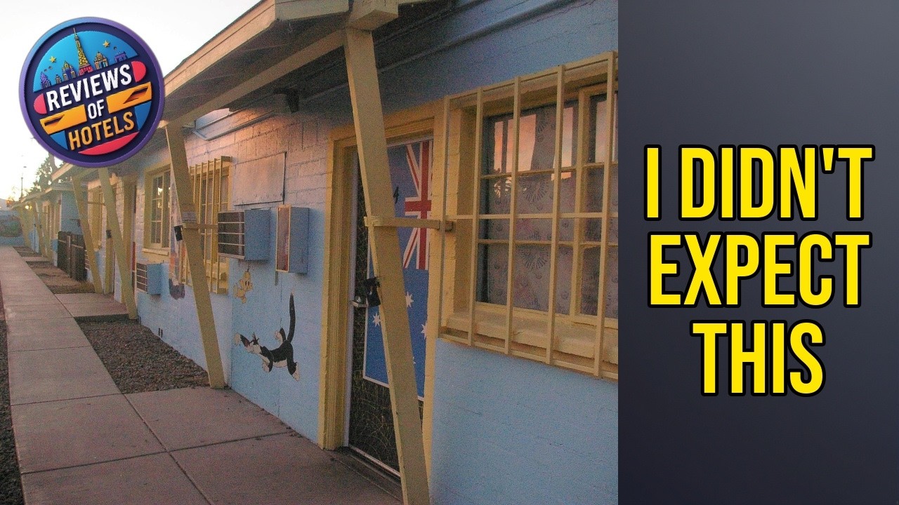 Hostel Cat - I Didn't Expect This | Las Vegas (NV), United States🏩