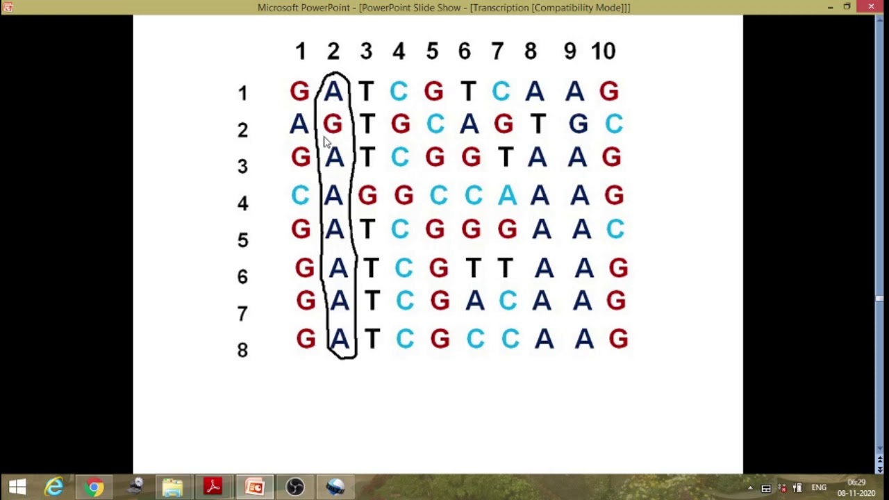 Consensus sequence